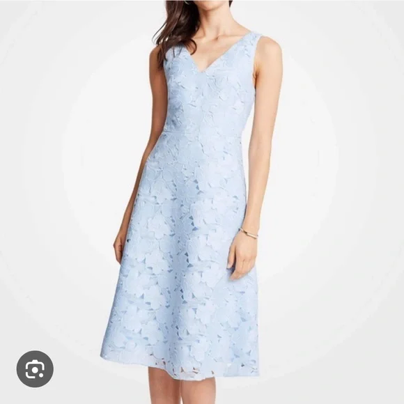 Ann Taylor | Dresses | Ann Taylor Floral Lace Flare Dress | Poshmark